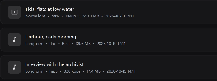 The History page listing downloaded videos and audio with their creator, format and size
