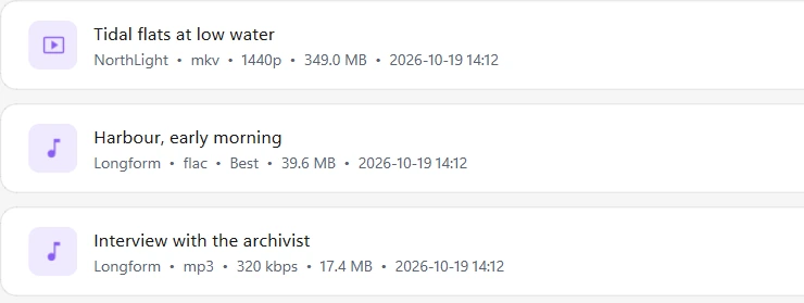 The History page listing downloaded videos and audio with their creator, format and size