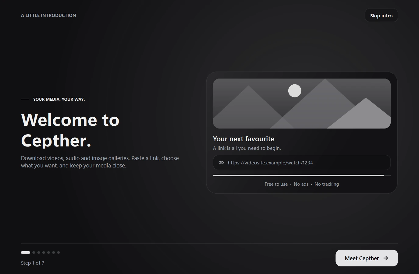 The first launch introduction, with a large welcome title and a card showing a link being pasted